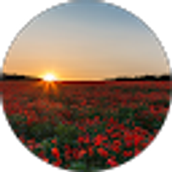 Profile photo of Brenda Reyes