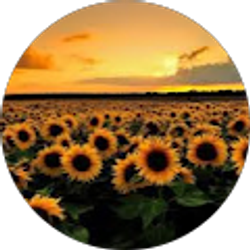 Profile photo of Katie Bendall