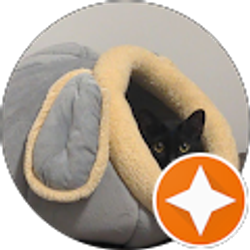 Profile photo of Nicol Desiree Maeso