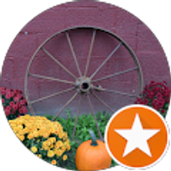 Profile photo of John Bloom