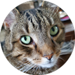 Profile photo of Mary Ann Moore