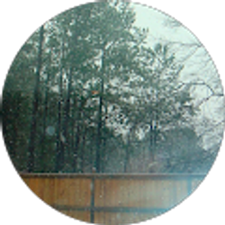 Profile photo of Debbie Frew