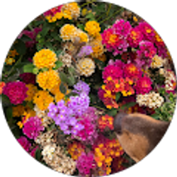 Profile photo of Zdenka Turecek