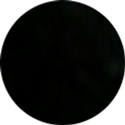 Profile photo of Dee