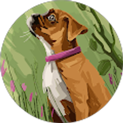 Profile photo of Janet Elshazly