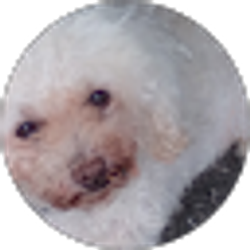 Profile photo of Barbara Dolgos