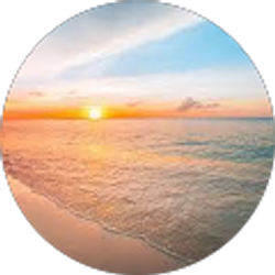 Profile photo of Brian Kelley