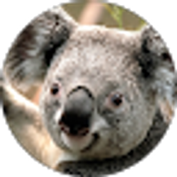 Profile photo of Edward Phillips