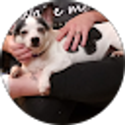 Profile photo of K S