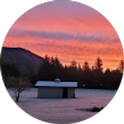 Profile photo of Greg Seed