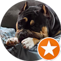 Profile photo of Lisa Sue