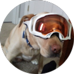 Profile photo of Korey
