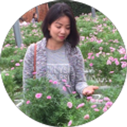 Profile photo of Mai Nguyen