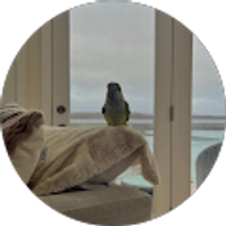 Profile photo of Jessica Latassa