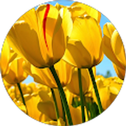 Profile photo of Bethany Grace