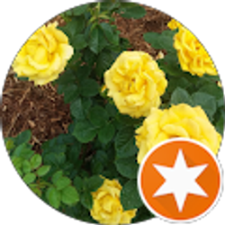 Profile photo of Nataliy Corbin