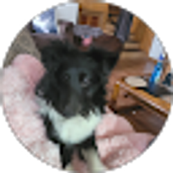 Profile photo of Vince Lukehart