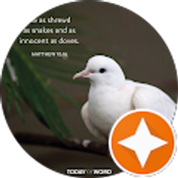 Profile photo of Karren SMITH