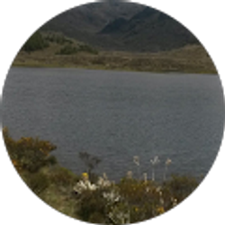 Profile photo of Katy Baloa