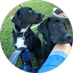 Profile photo of Christine mullen