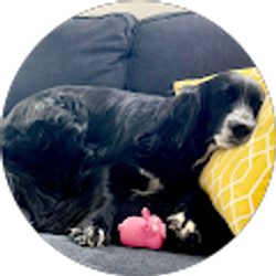 Profile photo of sherry strother