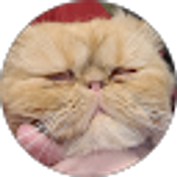 Profile photo of Rebecca Bryant