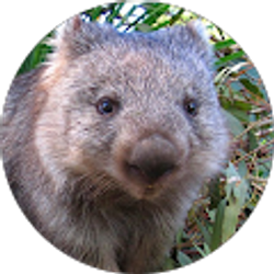 Profile photo of Michael Schultz