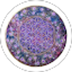 Profile photo of DeRaPra GovRa