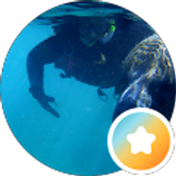 Profile photo of Sharon Holder