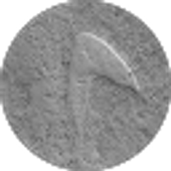 Profile photo of Christopher Sheets