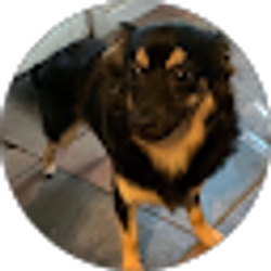 Profile photo of Guillermo Ruiz