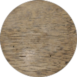Profile photo of Michael Kearney