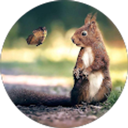 Profile photo of Brenda Tenorio