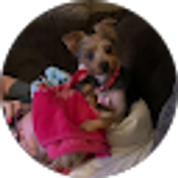 Profile photo of Tamara McGeever