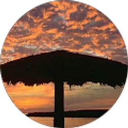 Profile photo of Lisa Santoro