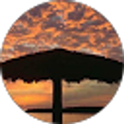 Profile photo of Lisa Santoro
