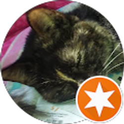 Profile photo of Lisa Rosario