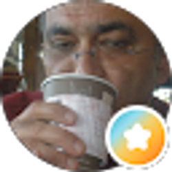 Profile photo of Morteza Tajally