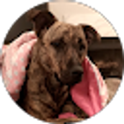 Profile photo of Paula Demoya