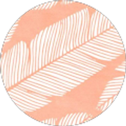 Profile photo of Abbi Disney