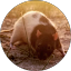 Profile photo of Bri