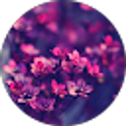 Profile photo of Kim Aasness