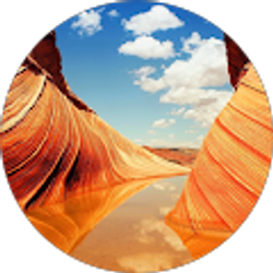 Profile photo of Bob Nichols