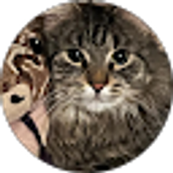 Profile photo of Moh Arebo