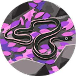 Profile photo of Angie Bair