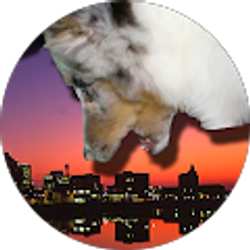 Profile photo of Kris Ingram
