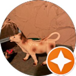 Profile photo of Paula Johnson