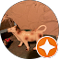 Profile photo of Paula Johnson