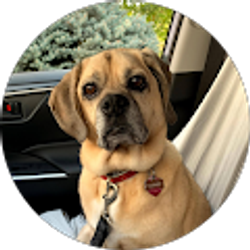 Profile photo of Teresa Rischling