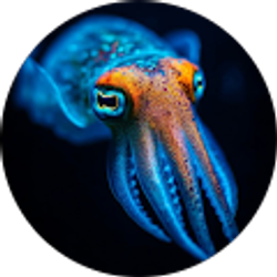 Profile photo of Megan Jarrell